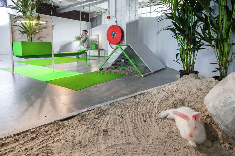 徐匯區(qū)120平綠調休閑辦公室裝修設計-第5張圖片-上海古都建筑設計集團 徐匯區(qū)120平綠調休閑辦公室裝修設計-第5張圖片-上海古都建筑設計集團