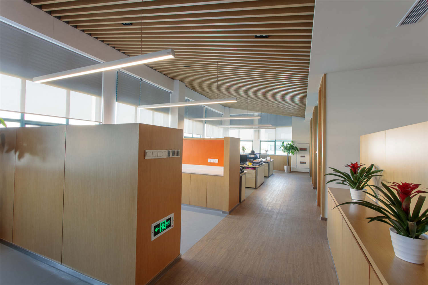 投資管理公司辦公室裝修設(shè)計(jì)-第1張圖片-上海古都建筑設(shè)計(jì)集團(tuán)